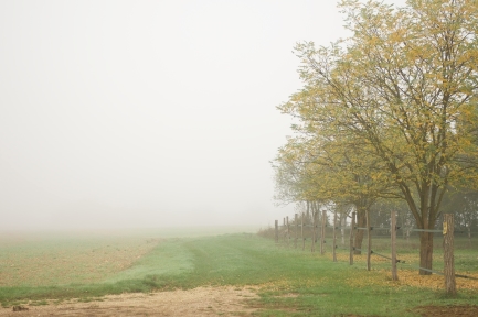 L'auberge de la tuilerie Early morning Autumn fog